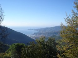 Rapallo dal passo della Crocetta